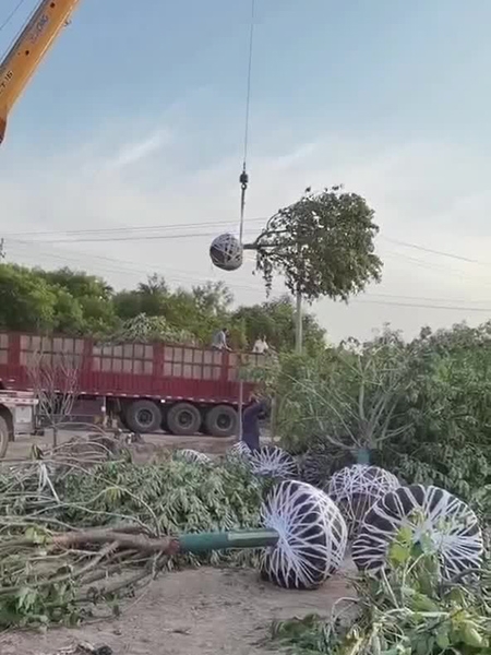 裝車現(xiàn)場（視頻）